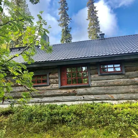 Villa Karhuntaehti Луосто Экстерьер фото